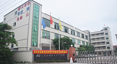 热烈欢迎渠县县委领导莅临我司参观指导！